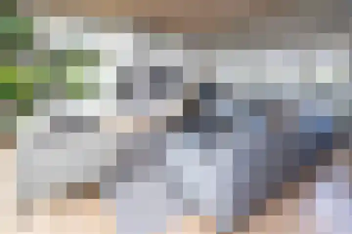Tolhekstraat 9 Zwolle thumbnail 4