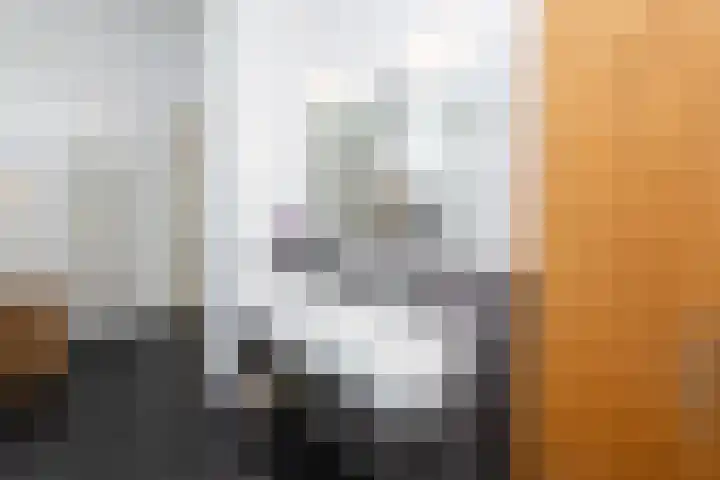 Tolhekstraat 9 Zwolle thumbnail 43