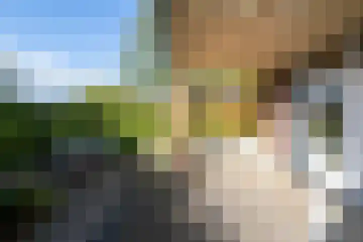 Tolhekstraat 9 Zwolle thumbnail 48