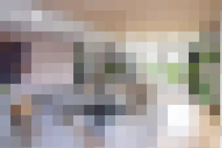 Tolhekstraat 9 Zwolle thumbnail 5