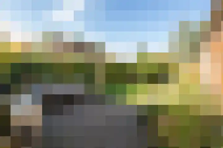 Tolhekstraat 9 Zwolle thumbnail 52