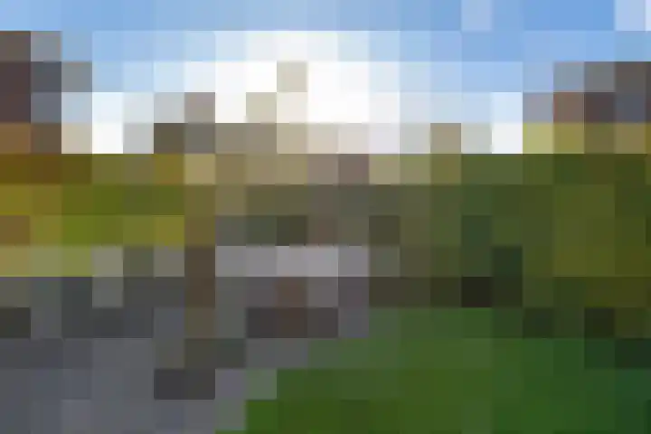 Tolhekstraat 9 Zwolle thumbnail 53