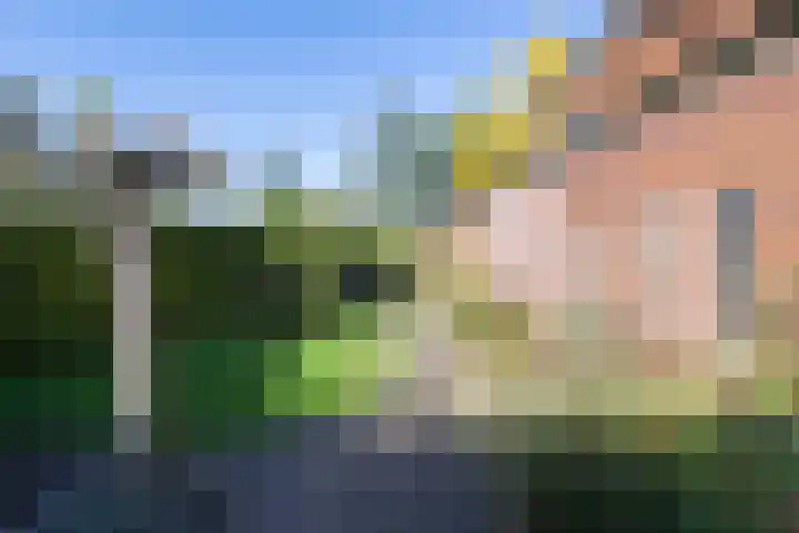 Tolhekstraat 9 Zwolle thumbnail 54