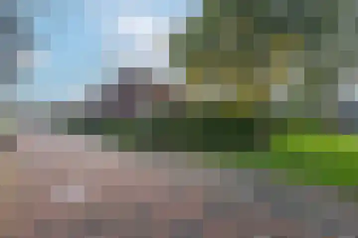 Tolhekstraat 9 Zwolle thumbnail 57