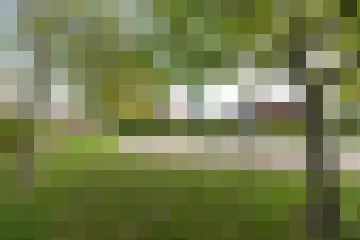 Tolhekstraat 9 Zwolle thumbnail 58