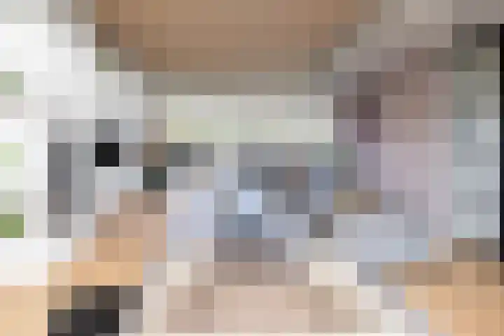 Tolhekstraat 9 Zwolle thumbnail 8