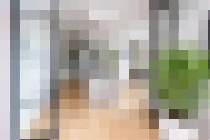 Tolhekstraat 9 Zwolle thumbnail 9