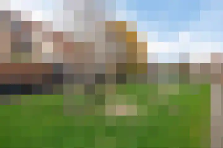 Tolhoren 50 Noordwijk thumbnail 30