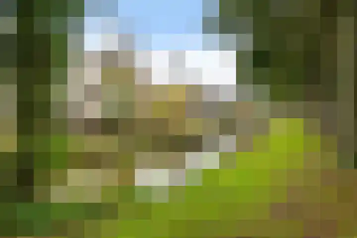 Tolhoren 50 Noordwijk thumbnail 31