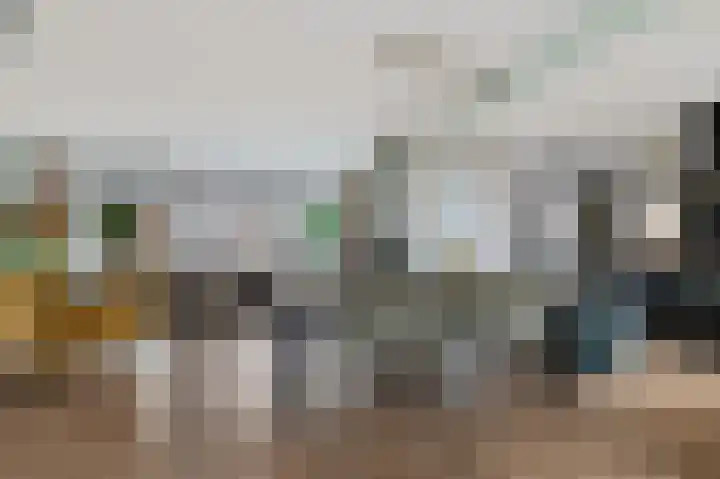 Tolhoren 50 Noordwijk thumbnail 6