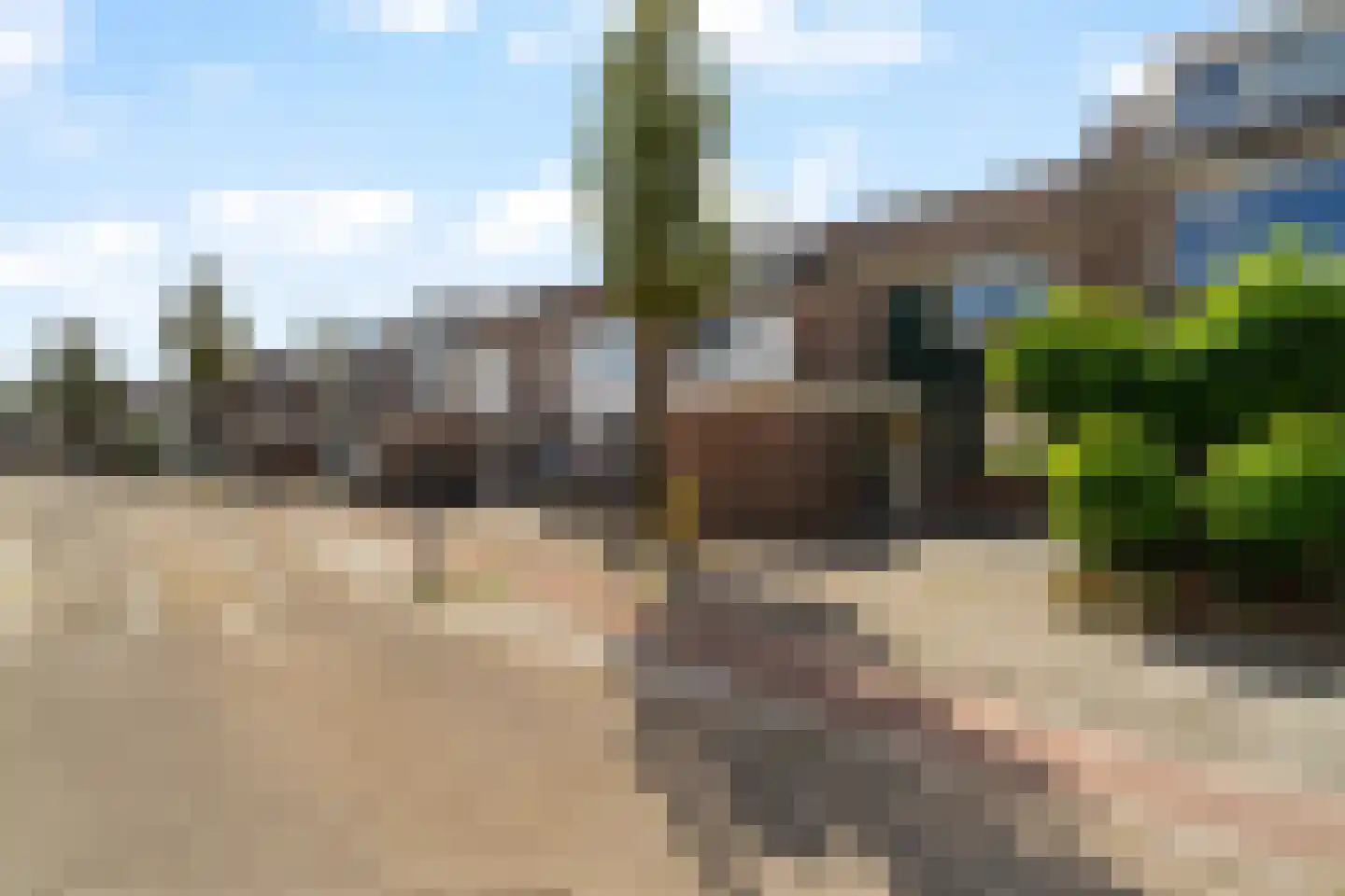 Tolhoren 55 Noordwijk thumbnail 32