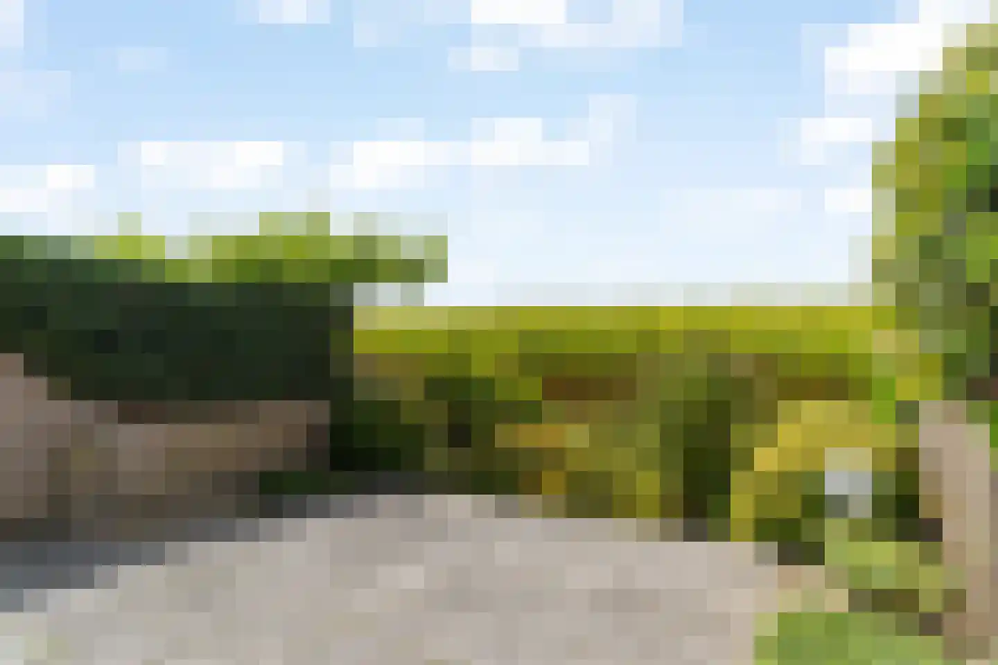 Tolhoren 55 Noordwijk thumbnail 9
