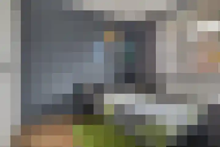 Tolhuis 1120 Nijmegen thumbnail 12