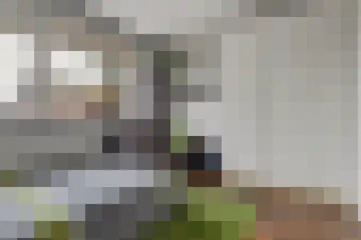 Tolhuis 1120 Nijmegen thumbnail 13