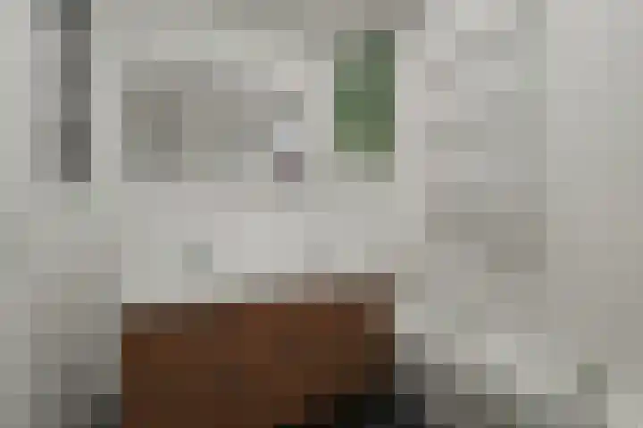 Tolhuis 1120 Nijmegen thumbnail 16