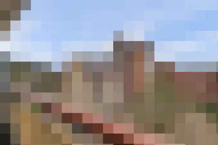 Tolhuis 1120 Nijmegen thumbnail 19
