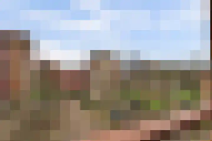 Tolhuis 1120 Nijmegen thumbnail 20