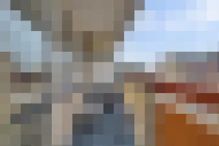 Tolhuis 1120 Nijmegen thumbnail 21