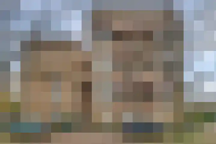 Tolhuis 1120 Nijmegen thumbnail 23