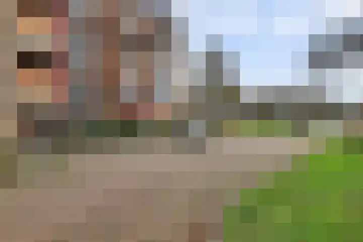 Tolhuis 1120 Nijmegen thumbnail 24