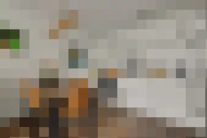 Tolhuis 1120 Nijmegen thumbnail 8