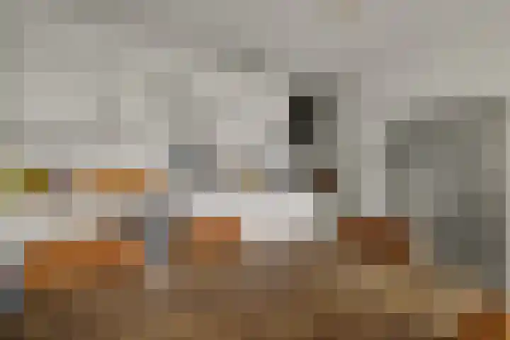 Tolhuis 1120 Nijmegen thumbnail 9