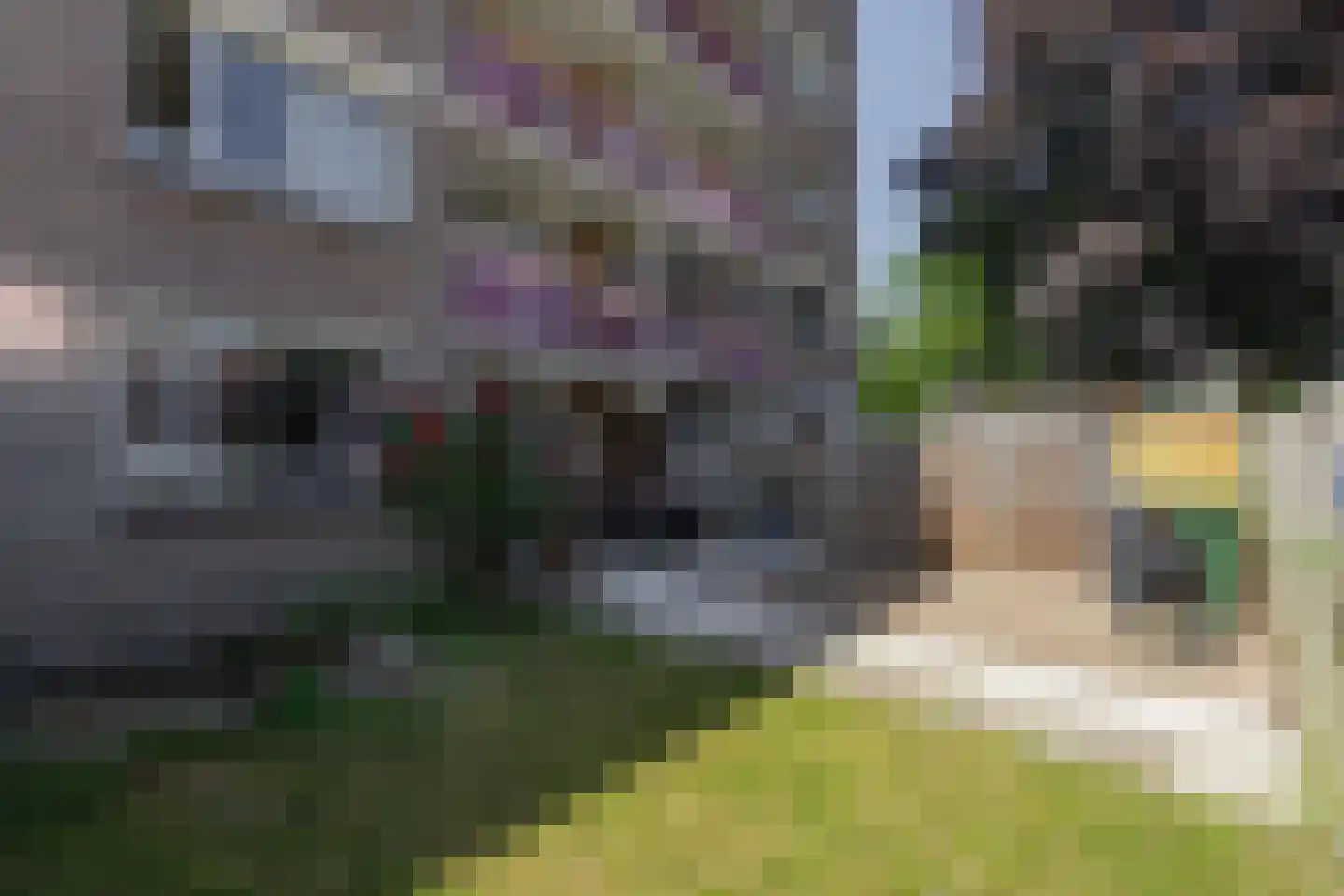 Tolhuis 1202 Nijmegen thumbnail 11