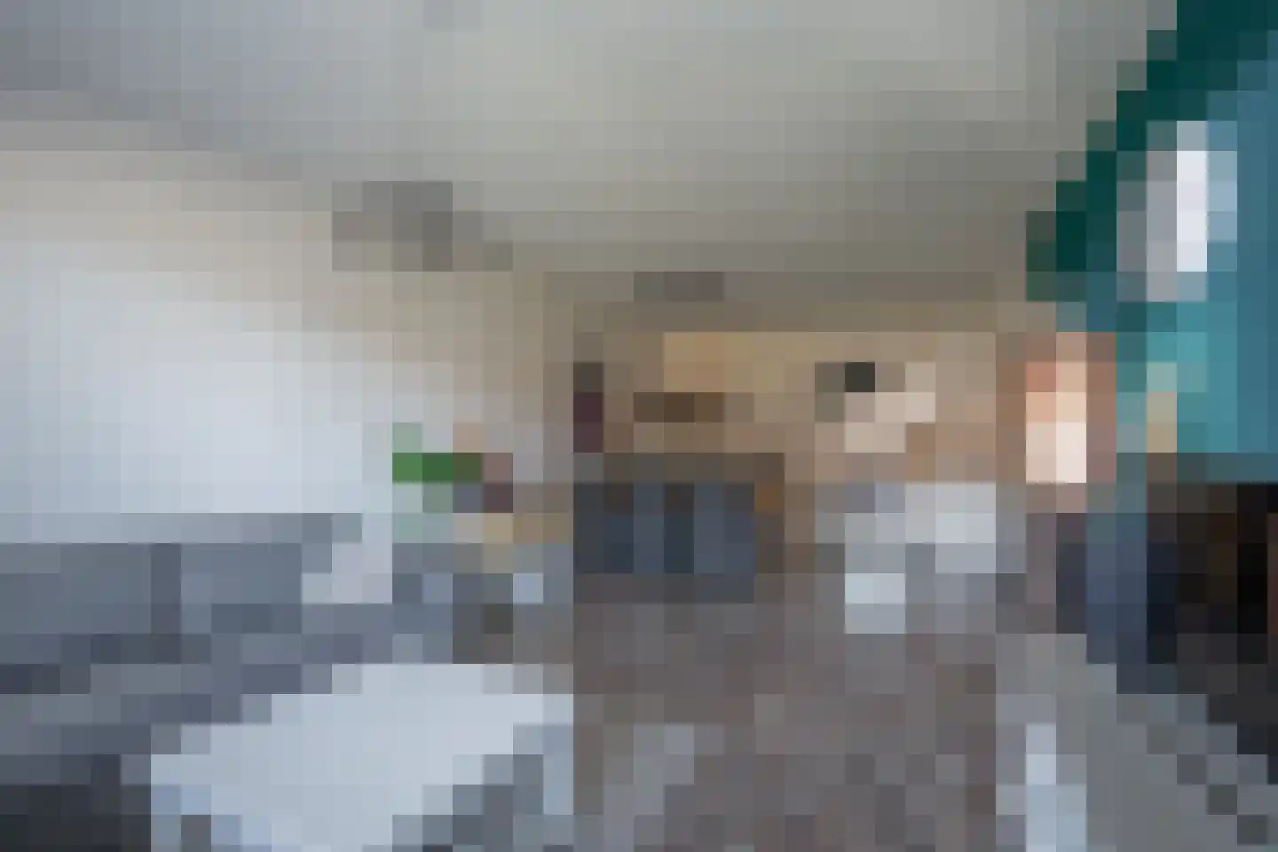 Tolhuis 1202 Nijmegen thumbnail 4