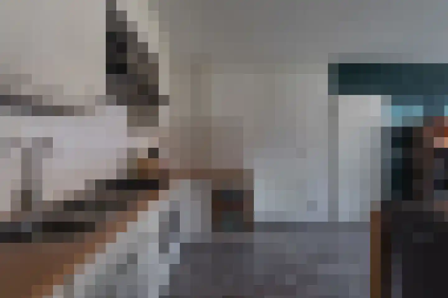 Tolhuis 1202 Nijmegen thumbnail 7