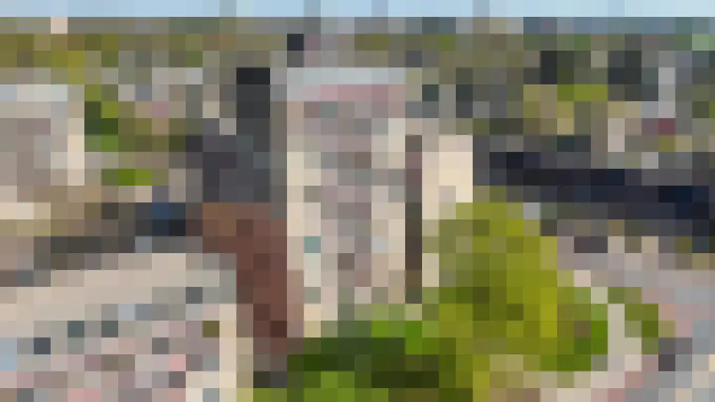 Tolhuis 1251 Nijmegen thumbnail 22