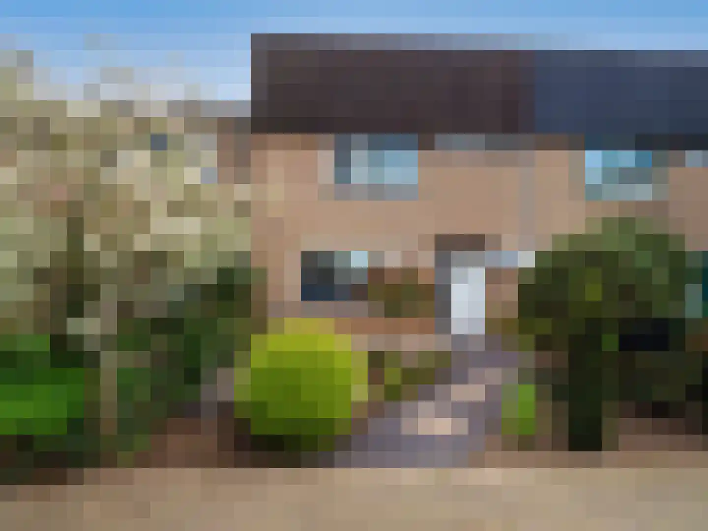 Tolhuis 1307 en Nijmegen