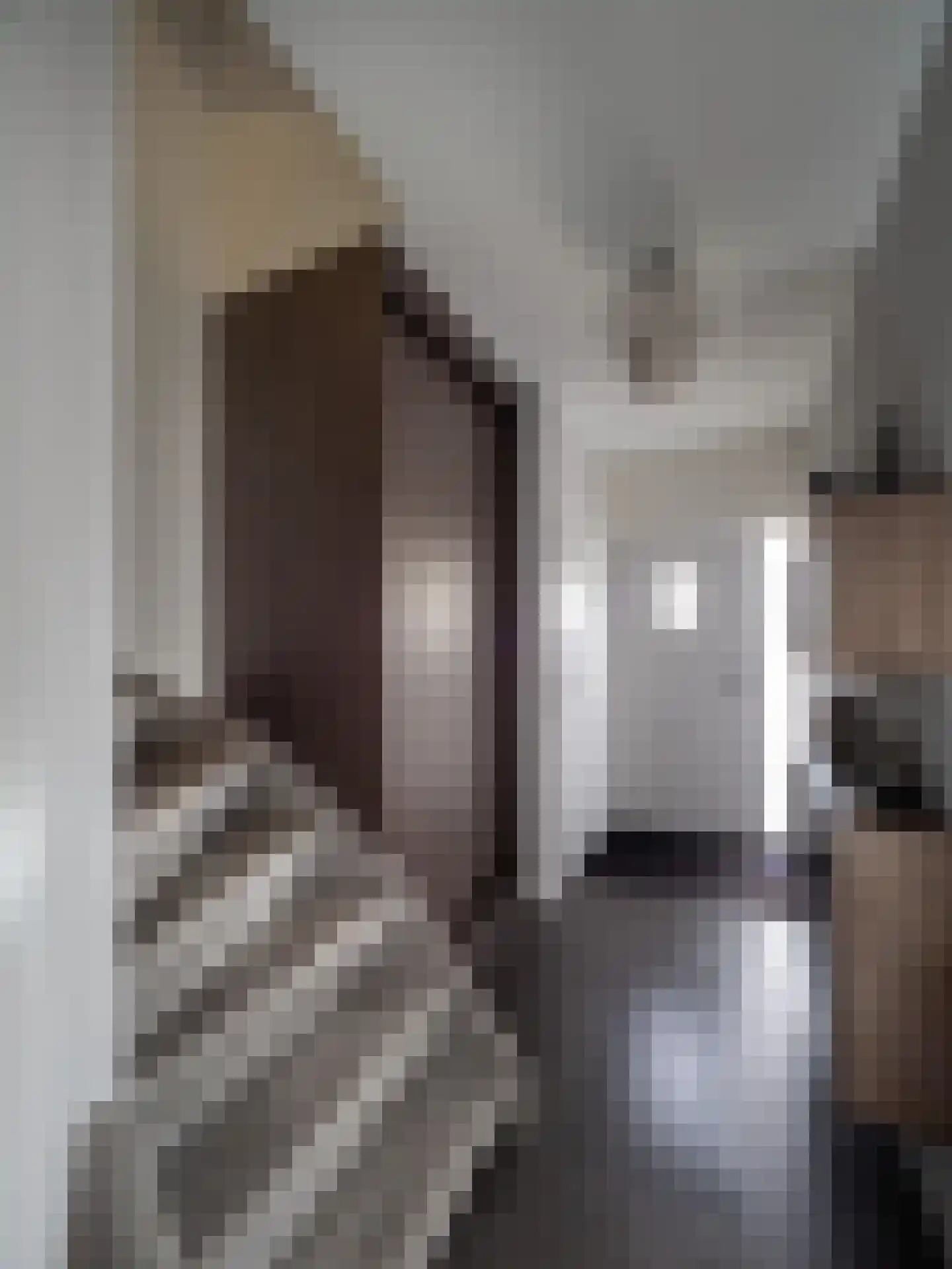 Tolhuis 1307 Nijmegen thumbnail 13