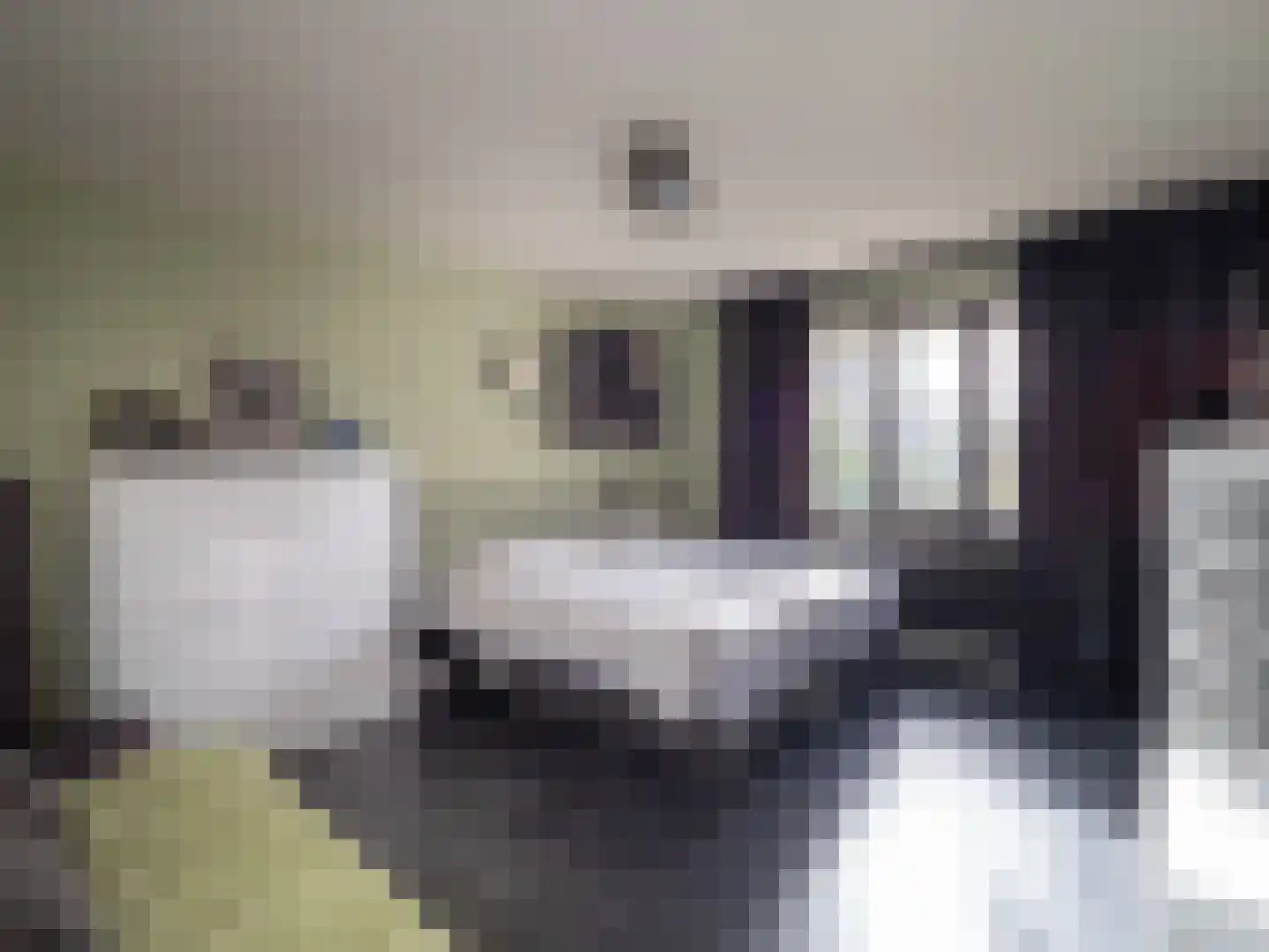 Tolhuis 1307 Nijmegen thumbnail 15