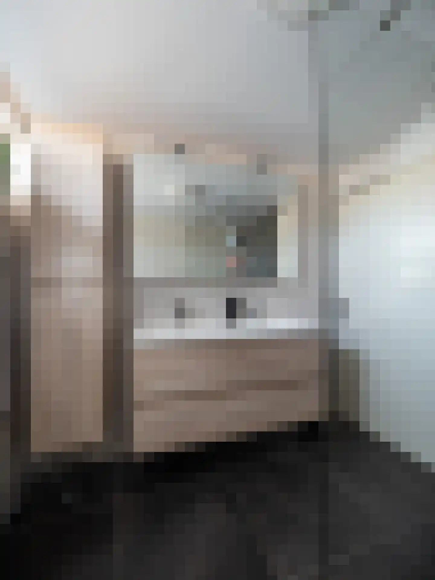 Tolhuis 1307 Nijmegen thumbnail 19
