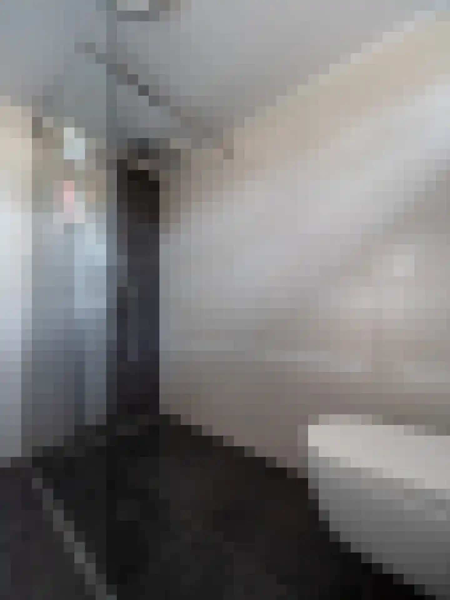 Tolhuis 1307 Nijmegen thumbnail 20