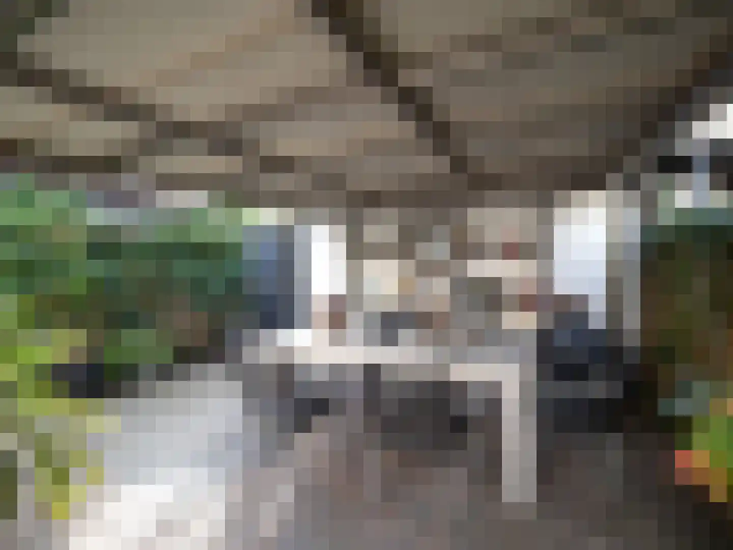 Tolhuis 1307 Nijmegen thumbnail 28