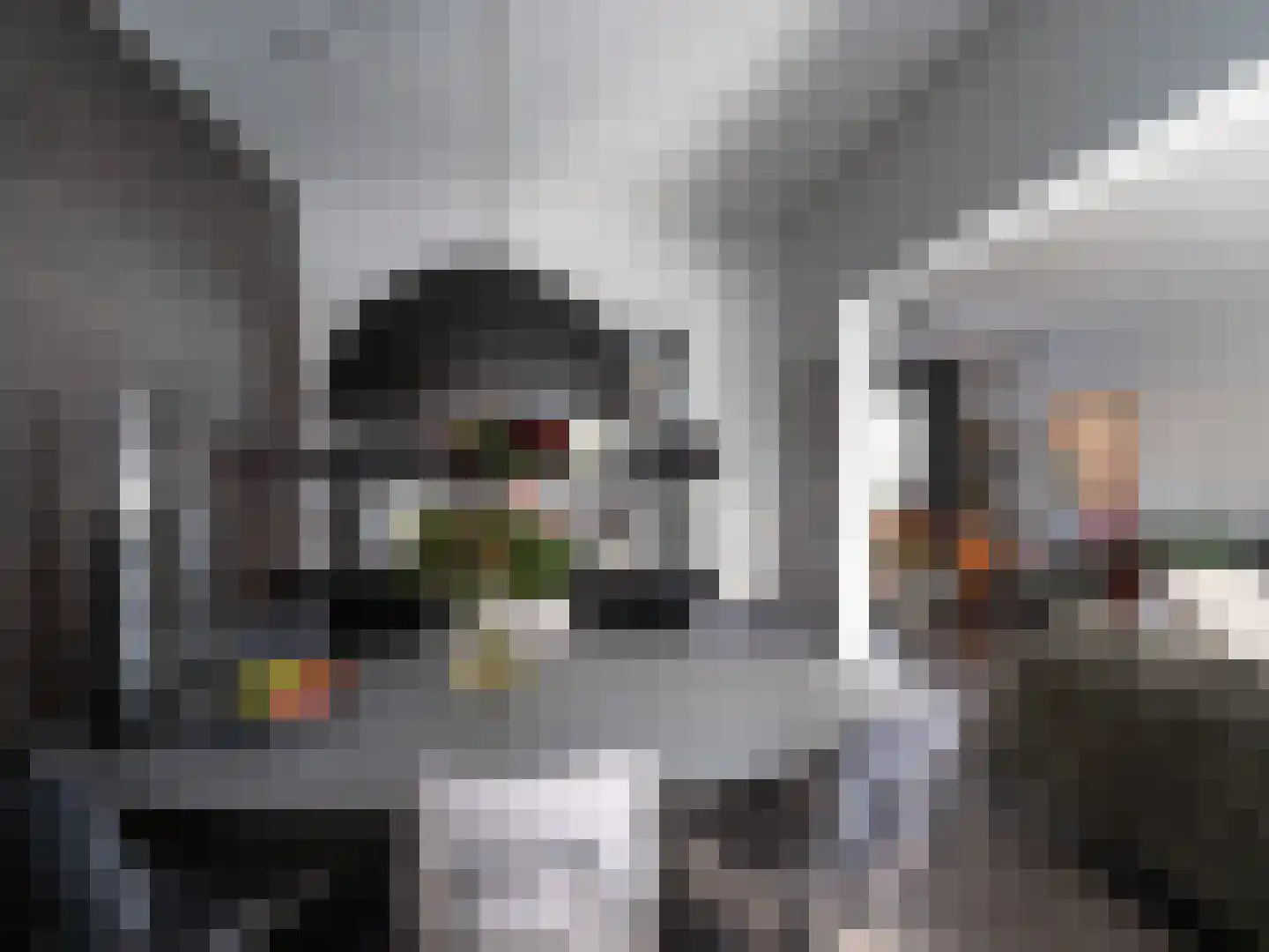 Tolhuis 1307 Nijmegen thumbnail 8