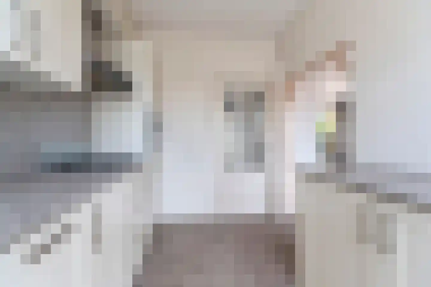 Tolhuis 1310 Nijmegen thumbnail 13
