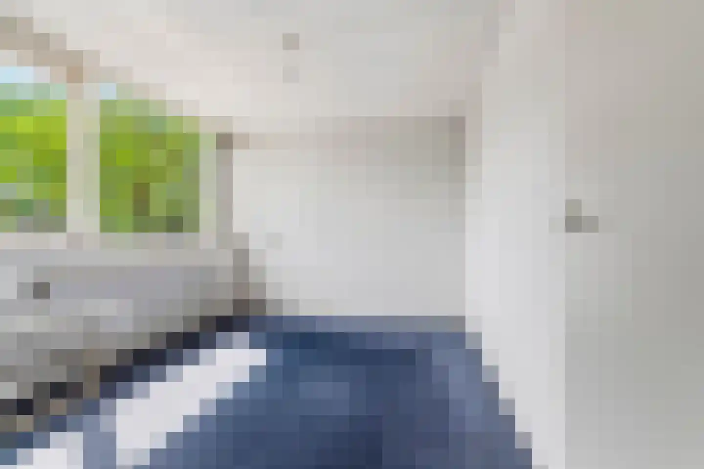 Tolhuis 1310 Nijmegen thumbnail 17