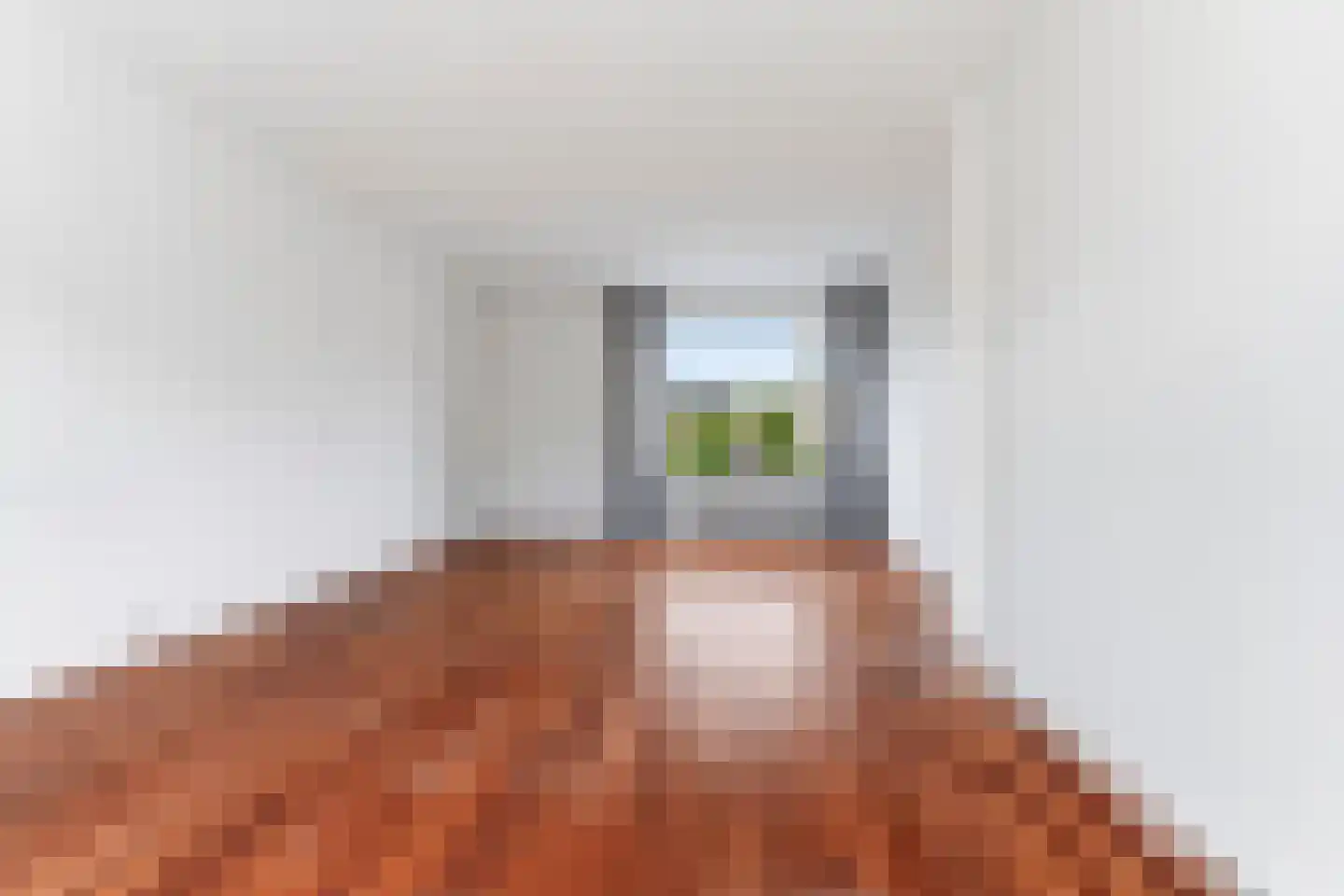 Tolhuis 1310 Nijmegen thumbnail 4