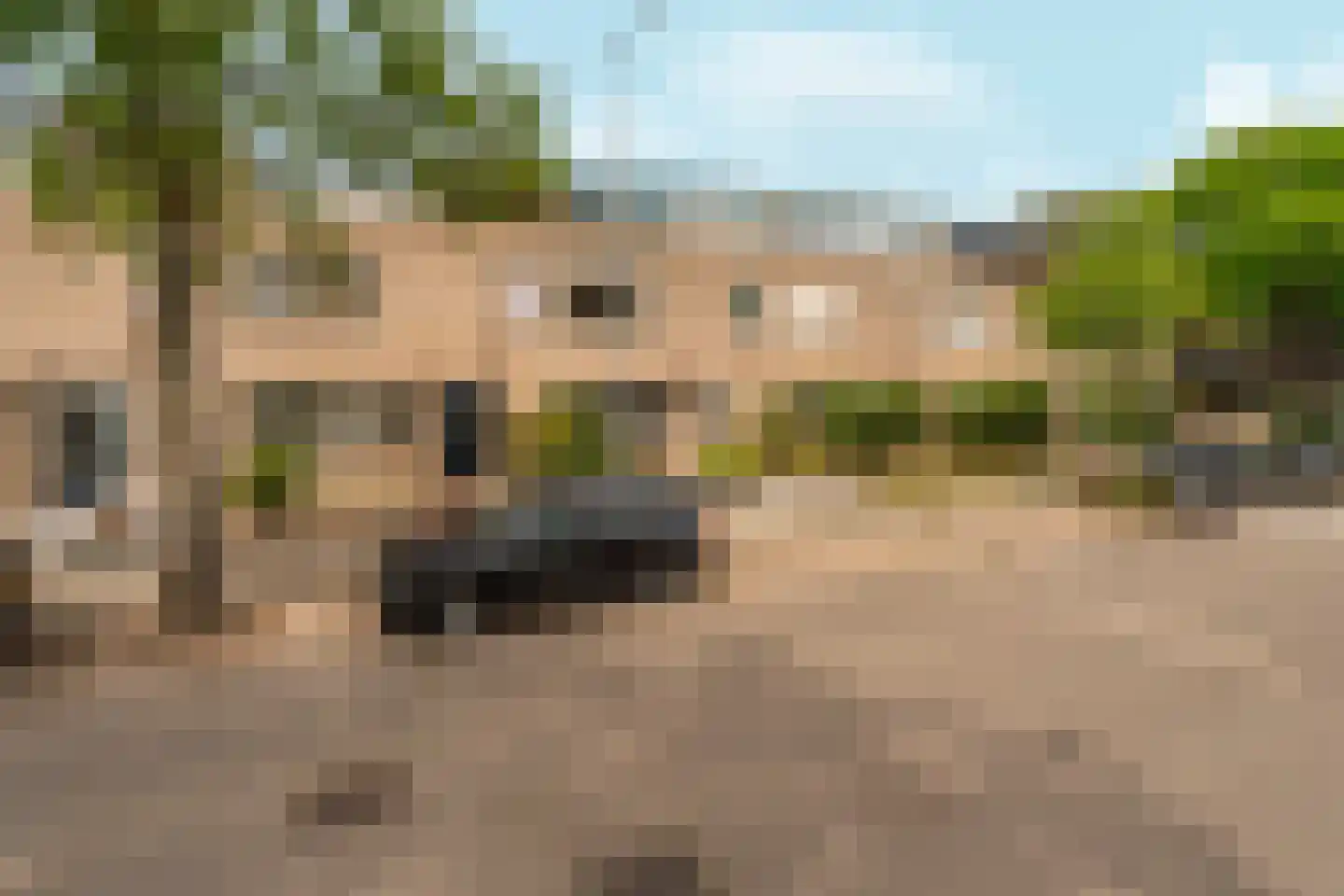 Tolhuis 1310 Nijmegen thumbnail 60