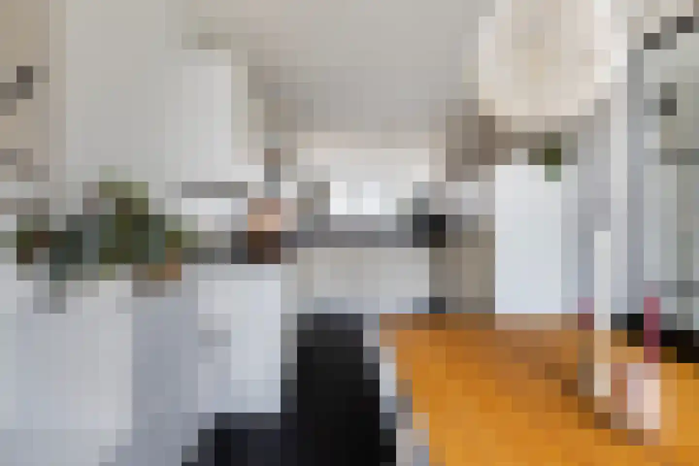 Tolhuis 14 Zwijndrecht thumbnail 21