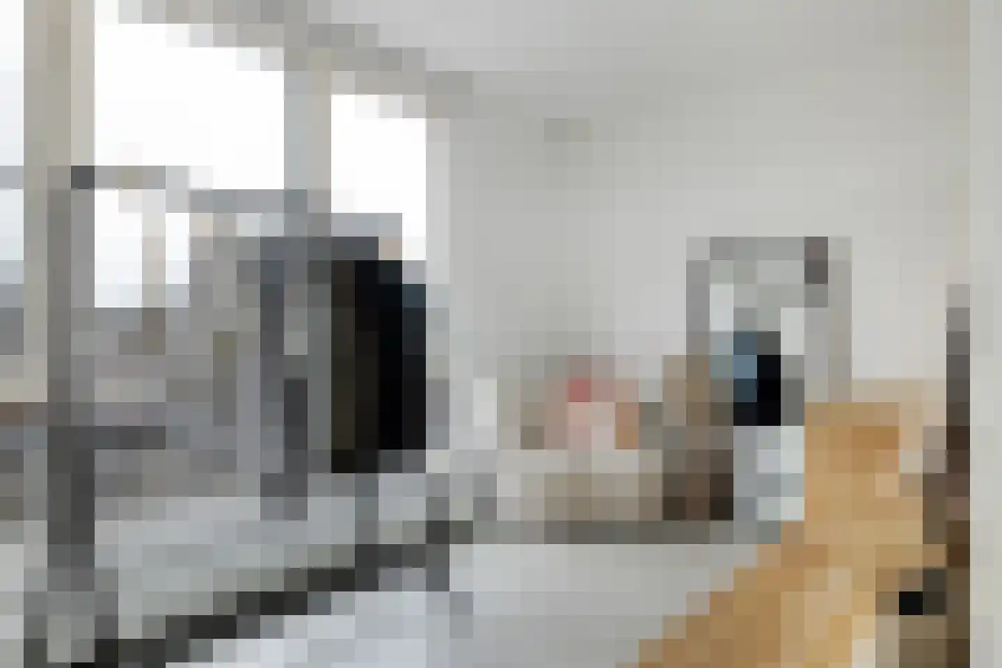 Tolhuis 14 Zwijndrecht thumbnail 33
