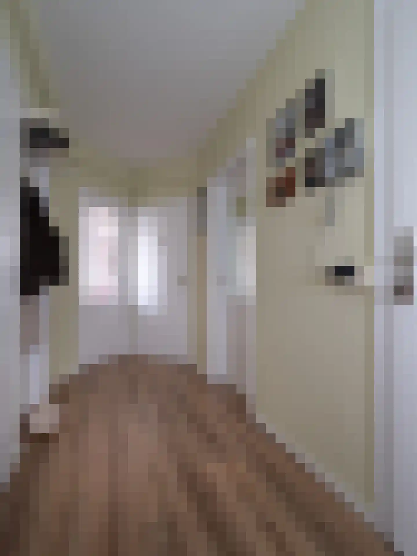 Tolhuis 1427 Nijmegen thumbnail 14