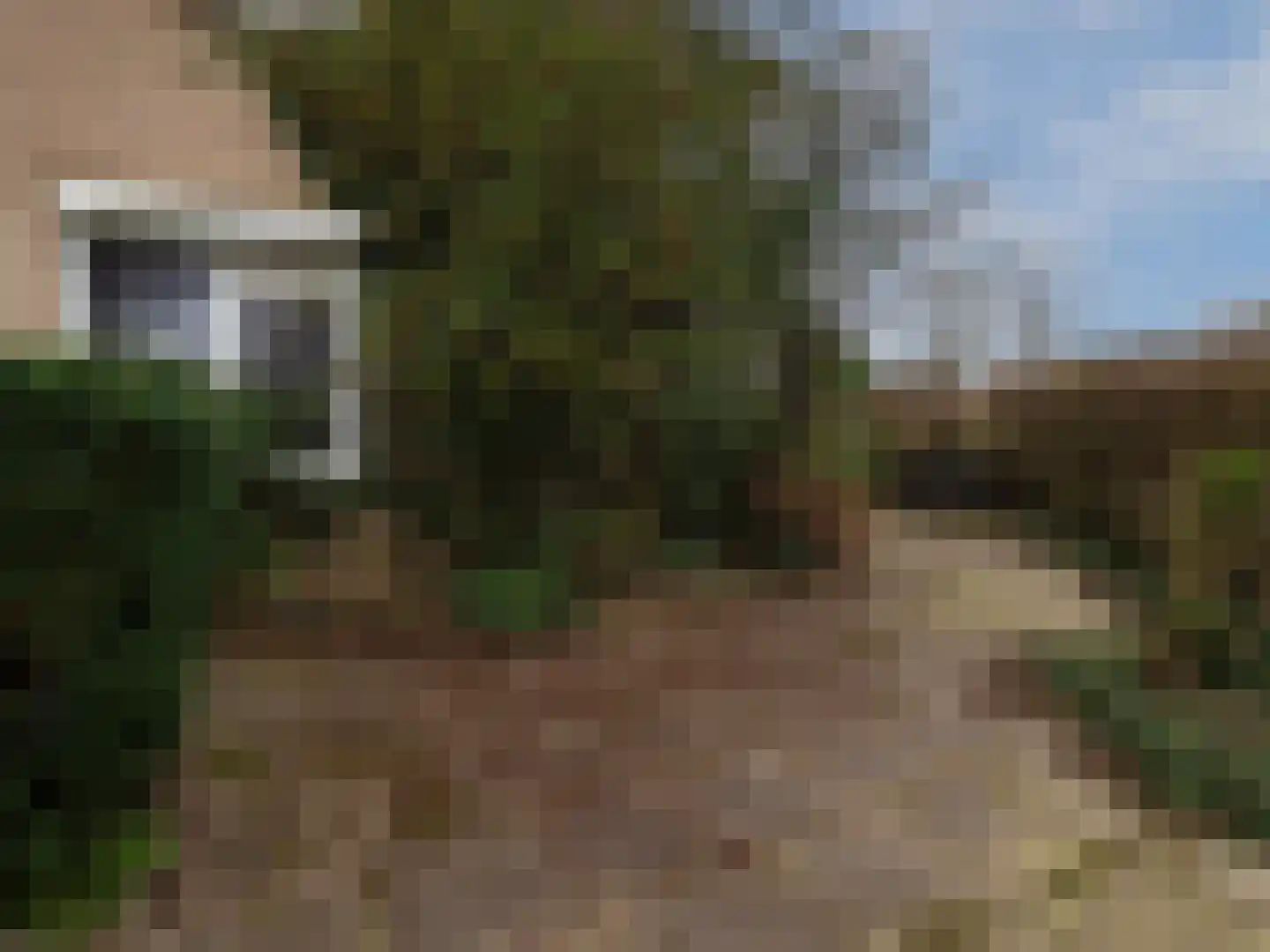 Tolhuis 1427 Nijmegen thumbnail 4