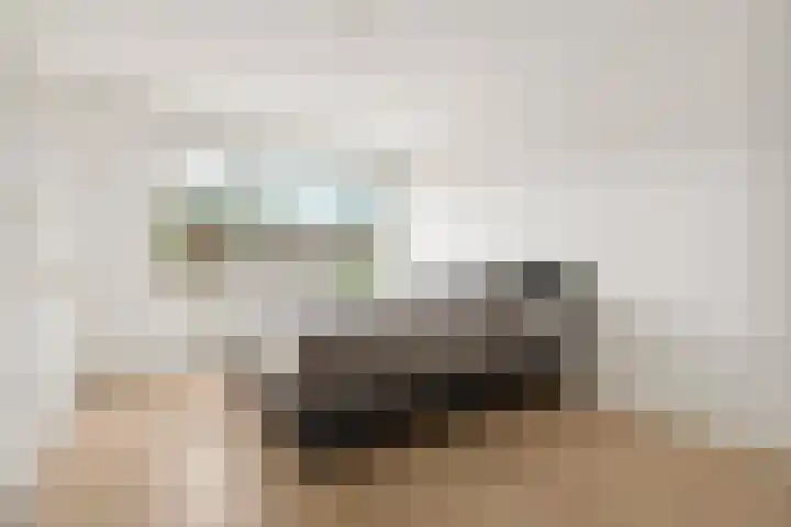Tolhuis 1431 Nijmegen thumbnail 14