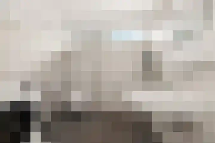 Tolhuis 1431 Nijmegen thumbnail 20