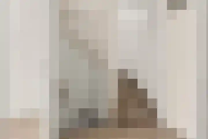 Tolhuis 1431 Nijmegen thumbnail 23