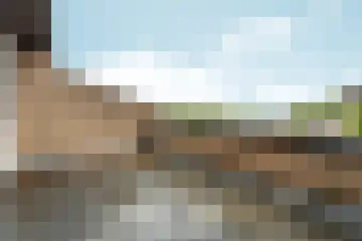Tolhuis 1431 Nijmegen thumbnail 27