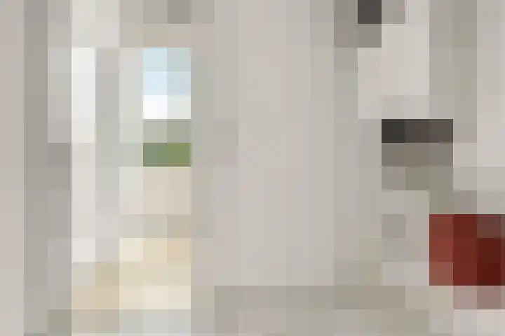 Tolhuis 1431 Nijmegen thumbnail 29